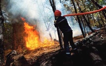 L'ANEF et la FAO se penchent sur la gestion intégrée des incendies de forêt